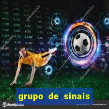 grupo de sinais fortune tiger telegram